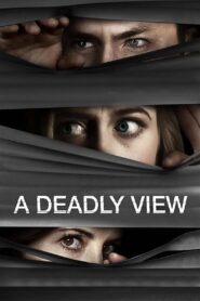 A Deadly View 2018 on netflix