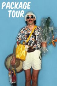 Package Tour 1980 on netflix