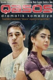 Qasos 2011 on netflix