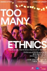 Too Many Ethnics 2023 on netflix