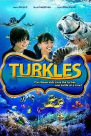 Turkles 2011 on netflix