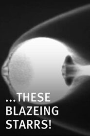 These Blazeing Starrs! 2011 on netflix