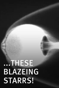 These Blazeing Starrs! 2011 on netflix