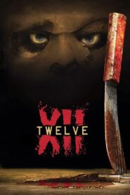 XII 2011 on netflix