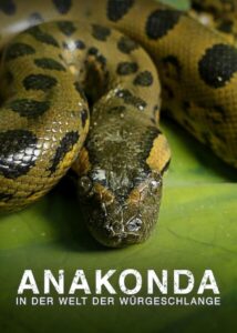 Anaconda: Silent Killer 2014 on netflix