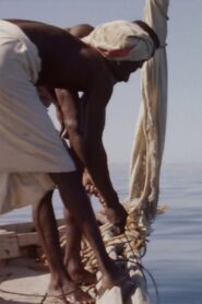 Hauling Sharks 1988 on netflix