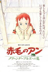 Anne of Green Gables: Road to Green Gables 2010 on netflix