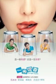 One Night Surprise 2013 on netflix