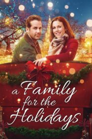 A Family for the Holidays 2017 on netflix