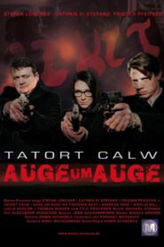 Tatort Calw – Auge um Auge 2016 on netflix