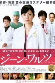 Gene Waltz 2011 on netflix