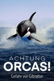 Watch Out for Orcas! Danger Off Gibraltar? 2024 on netflix