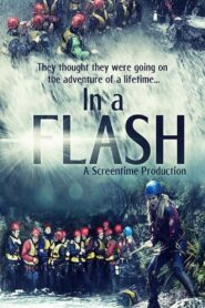 In a Flash 2018 on netflix