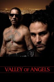 Valley of Angels 2008 on netflix