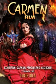 Carmen 2013 on netflix