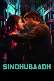 Sindhubaadh 2019 on netflix