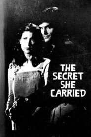 The Secret She Carried 1996 on netflix