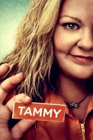 Tammy 2014 on netflix