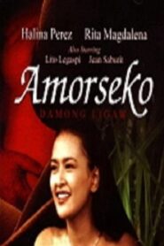 Amorseko: Damong Ligaw 2001 on netflix