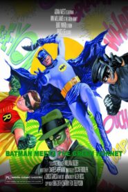 Batman ’66 Meets the Green Hornet 2020 on netflix