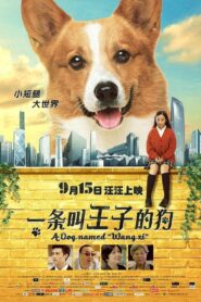 A Dog Named Wang Zi 2016 on netflix