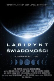 Labirynt świadomości 2017 on netflix
