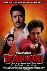 Dushmani: A Violent Love Story 1995 on netflix