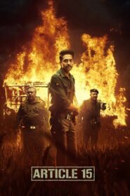 Article 15 2019 on netflix