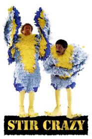 Stir Crazy 1980 on netflix