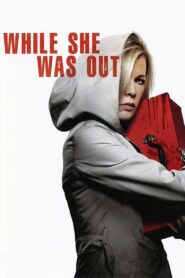 While She Was Out 2008 on netflix