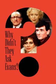 Why Didn’t They Ask Evans? 1980 on netflix