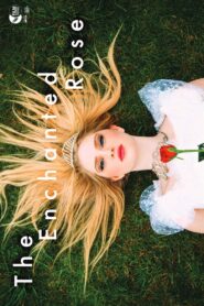 The Enchanted Rose 2015 on netflix