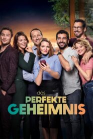 The Perfect Secret 2019 on netflix