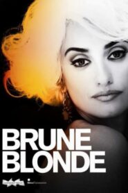 Brunes et Blondes 2010 on netflix