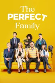 The Perfect Family 2021 on netflix