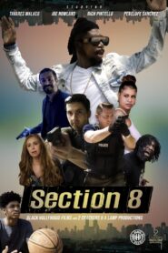 Section 8 2022 on netflix