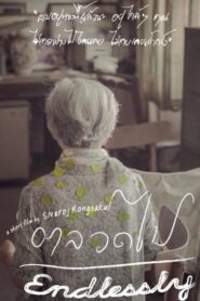 Endlessly 2013 on netflix