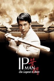 The Legend Is Born: Ip Man 2010 on netflix