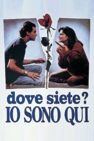 Where Are You? I’m Here 1993 on netflix