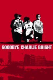Goodbye Charlie Bright 2001 on netflix