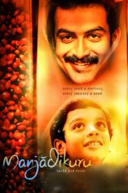 Manjadikuru 2008 on netflix