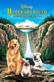 Homeward Bound: The Incredible Journey 1993 on netflix