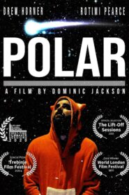 Polar 2019 on netflix