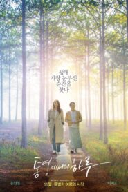 A Day in Tongyeong 2022 on netflix