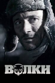 Wolves 2009 on netflix