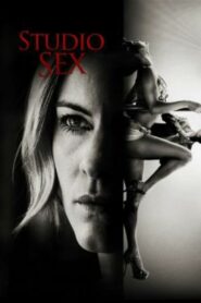 Annika Bengtzon: Crime Reporter – Studio Sex 2012 on netflix
