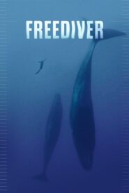 Freediver 2024 on netflix