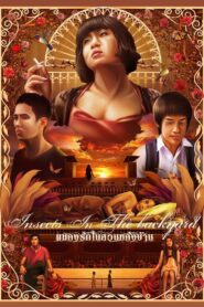 Insects in the Backyard 2011 on netflix