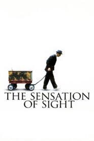 The Sensation of Sight 2006 on netflix