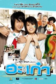 Puppy Love 2008 on netflix
